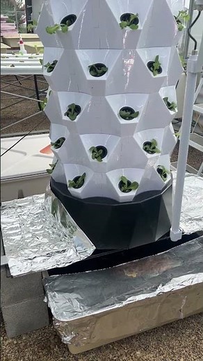 An Overview of Vertical Tower Hydroponic System Part 1