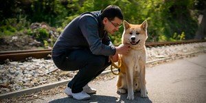 How Human Body Language Can Affect Dog Behavior