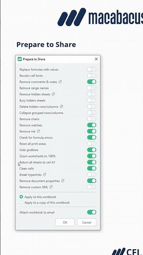 How to Prepare your Excel Financial Model for Sharing, with Macabacus