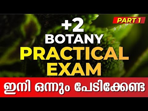 PLUS TWO BOTANY LAB EXAM PART 1 | PLUS TWO PRACTICAL EXAM | EXAM WINNER