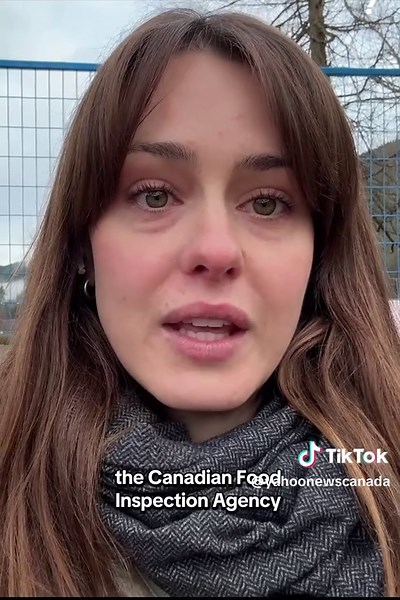 The Canadian Food Inspection Agency says a professional marksman was used to kill all ostriches at a British Columbia farm, fulfilling a cull order over an avian flu outbreak. The CFIA, which numbered the flock at between 300 to 330 birds, says the shootings were completed under veterinary supervision. Brenna Owen from CP Explains. #newstoday #canadanews #ostrich #bc #cull