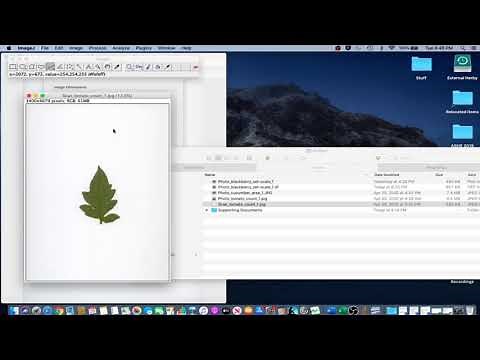 ImageJ Tutorial 1.3 - Set Scale (Scanned Image)