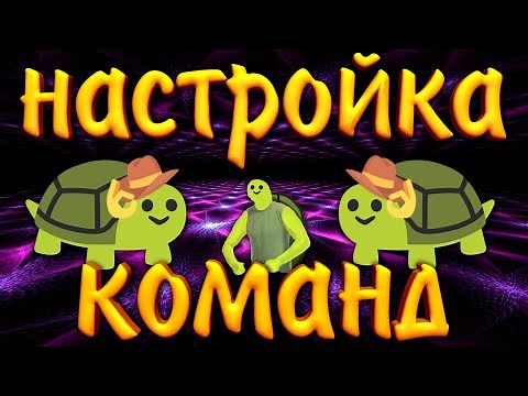 🐢Setting up Carl bot commands | Setting up the Discord bot