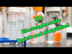How to run HB electrophoresis in the laboratory ( HB genotype)
