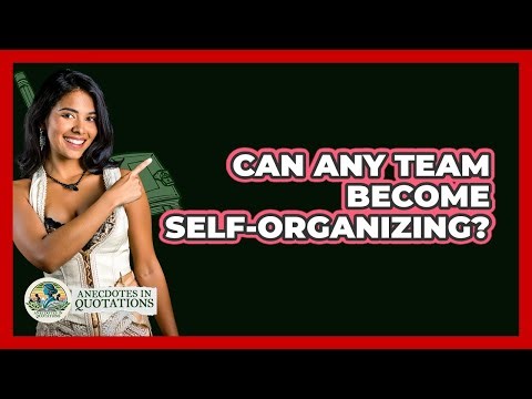 Can Any Team Become Self-organizing? - Anecdotes in Quotation
