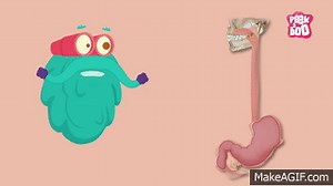 Digestive System | The Dr. Binocs Show | Learn Videos For Kids on Make a GIF