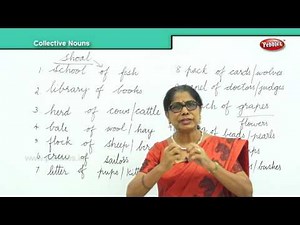 Collective Nouns | Learn English Words for Kids | Vocabulary for Beginners