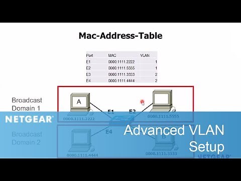 Advanced VLAN Setup | Business