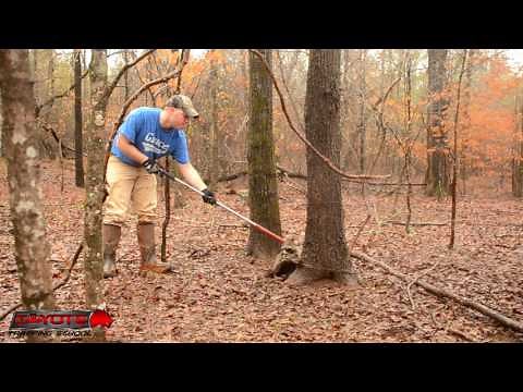 Releasing a Raccoon - Fur Trapping