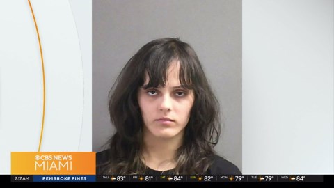 New Florida program available to help homeowners avoid flooding