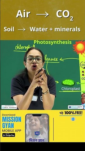 Photosynthesis Explained in 20 Seconds | How Plants Make Food Using Sunlight 🌿