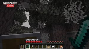 All new Minecraft blocks and items announced at Live 2024