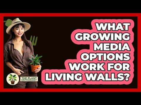 What Growing Media Options Work For Living Walls? - The Plant Enthusiast