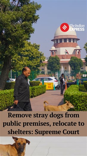 121K views · 514 reactions | The Supreme Court on Friday (November 7)...