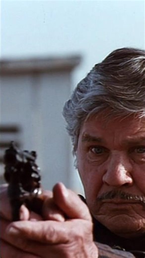 Charles Bronson uses a Smith & Wesson Model 15 Snub Donato and Daughter (1993). Rod Holcomb 📽