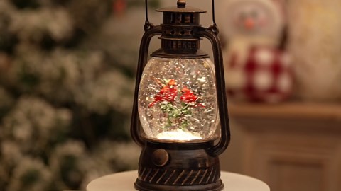 Cardinal Snow Globe Christmas Decorations Indoor, Lighted Musical Christmas Snow Globes Lantern with Glitter & 6H Timer, Cardinal Gifts Decorations for Home