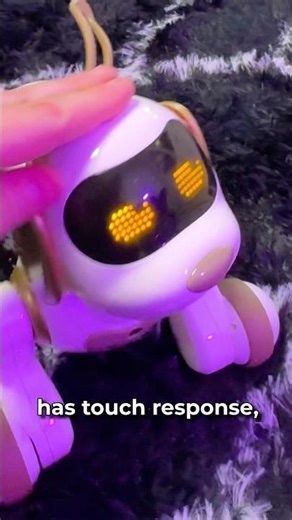 $60 SMART ROBOT DOG!? (Ruko Review)