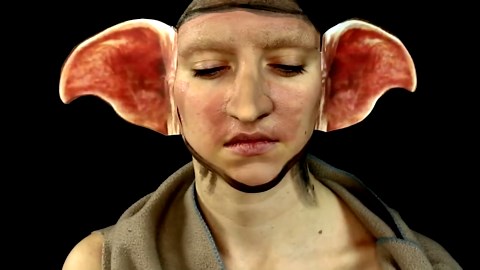 Dobby Harry Potter Makeup