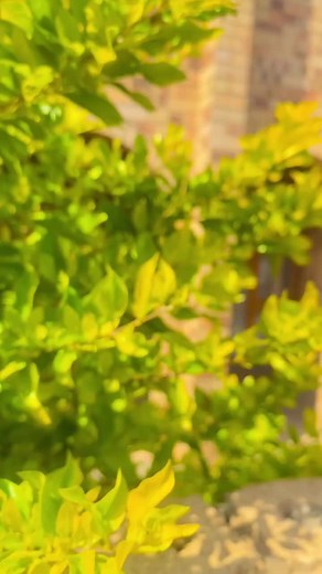 Dudu RSA: Interview with Her Mom and New Dance Videos