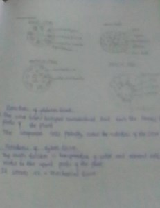 Functions of phloem tissue:The sieve tubes transport manufactu... | Filo