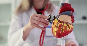 Female Doctor Examines Heart Model Stethoscope Stock Footage Video (100% Royalty-free) 3543293605 | Shutterstock
