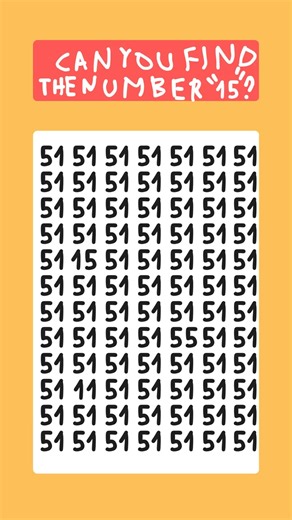 Can You Find The Number "15".!?