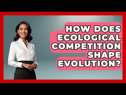 How Does Ecological Competition Shape Evolution? - Explaining Ecology