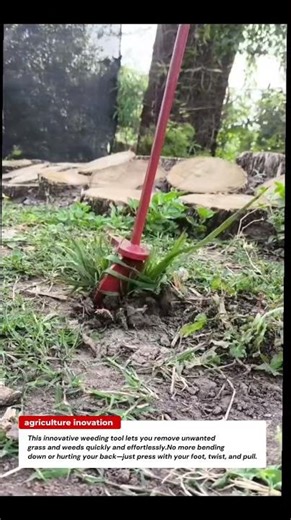 Amazing Weeding Tool! Remove Grass Easily Without Bending | Gardening Hack