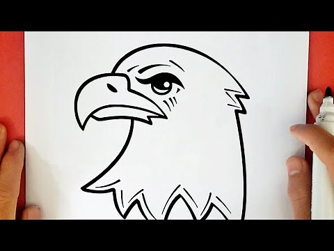 HOW TO DRAW A BALD EAGLE