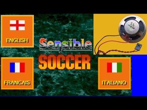 International Sensible Soccer [MS DOS] Some Music on IBM PC Speaker
