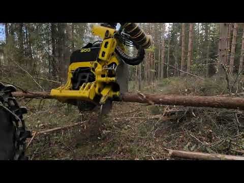 Moipu 300F1 in pulpwood harvesting | kuitupuun korjuussa