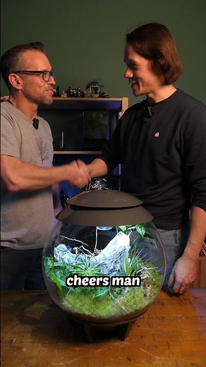 The ultimate guide to building a terrarium with George Farmer