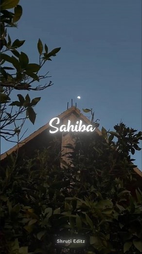 Shor sharaba jo seene mein hai mere || Haal jo mera hai main kisko batau || Shruti Editz