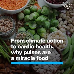 23K views · 475 reactions | People who eat pulses regularly are 22%...