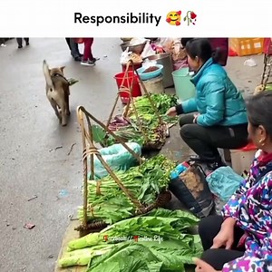 5.8M views · 176K reactions | - Responsibility..!殺❤️鹿 | Deep Ｍｏｍｅｎｔｓシ | Facebook