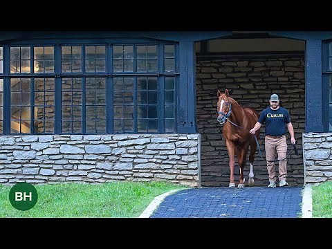 Beyond the Headlines: Curlin