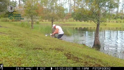 Puppy vs Gator vs Man