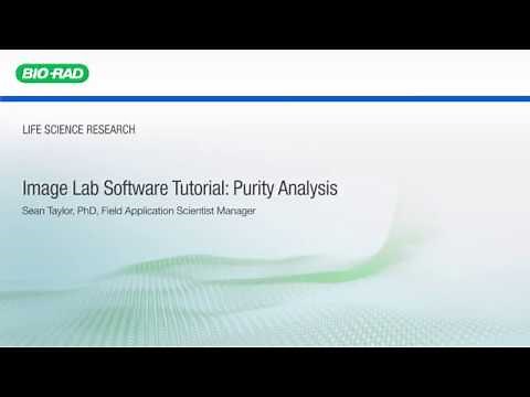 Image Lab Software Tutorial: Purity Analysis