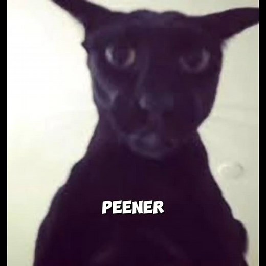 This Is Why EVIL LARRY Is The SCARIEST Cat On Earth