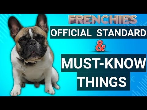 French Bulldog facts 101 | How To​⁠ Care For A French Bulldog #frenchie ‪@Pet-Code‬