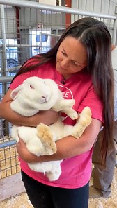 221K views · 3.7K reactions | SAFE and up for adoption! Meet our...