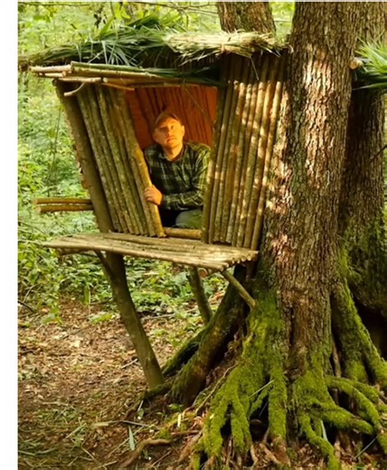 Wilderness Survival Challenge: Build a Tree House Shelter
