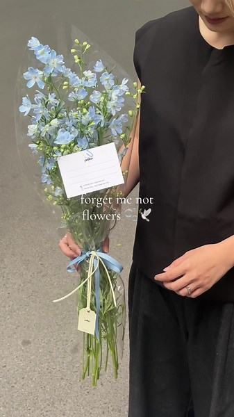 Forget-me-not 🫧🥹🕊️ One of the most romantic meanings of flowers #flowers #hoa #tiemhoahanoi