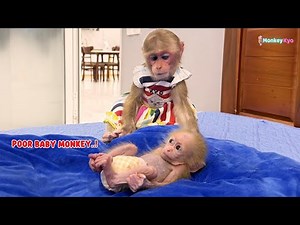 Kyo’s adorable reaction to the little monkey – Dad’s surprised!