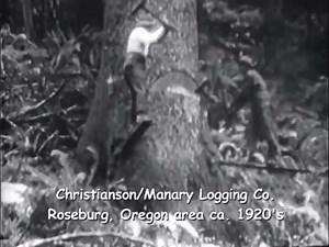 6.1M views · 87K reactions | Old school logging | Forestmachinemagazine | Facebook