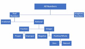 Types of Numbers – Difference and Classification