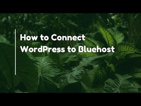 How to Connect WordPress to Bluehost