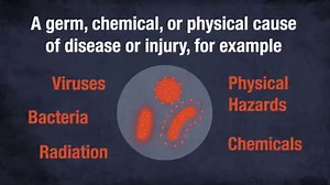 9.6K views · 204 reactions | Watch our new video to learn how...