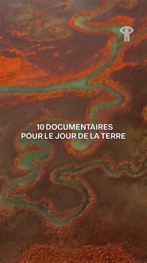 2.5K views · 18 reactions | Notre planète est précieuse; prenons-en soin.  Rendez-vous sur ONF.ca ou l'appli ONF pour visionner une vaste collection de films gratuits sur l'environnement, la biodiversité, et l'éco-responsabilité; ils pourraient vous inspirer à changer le monde à votre façon → bit.ly/3Dagfr1  | ONF | Facebook