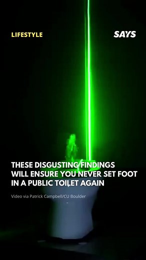 Toilet Flush: A Shocking Revelation